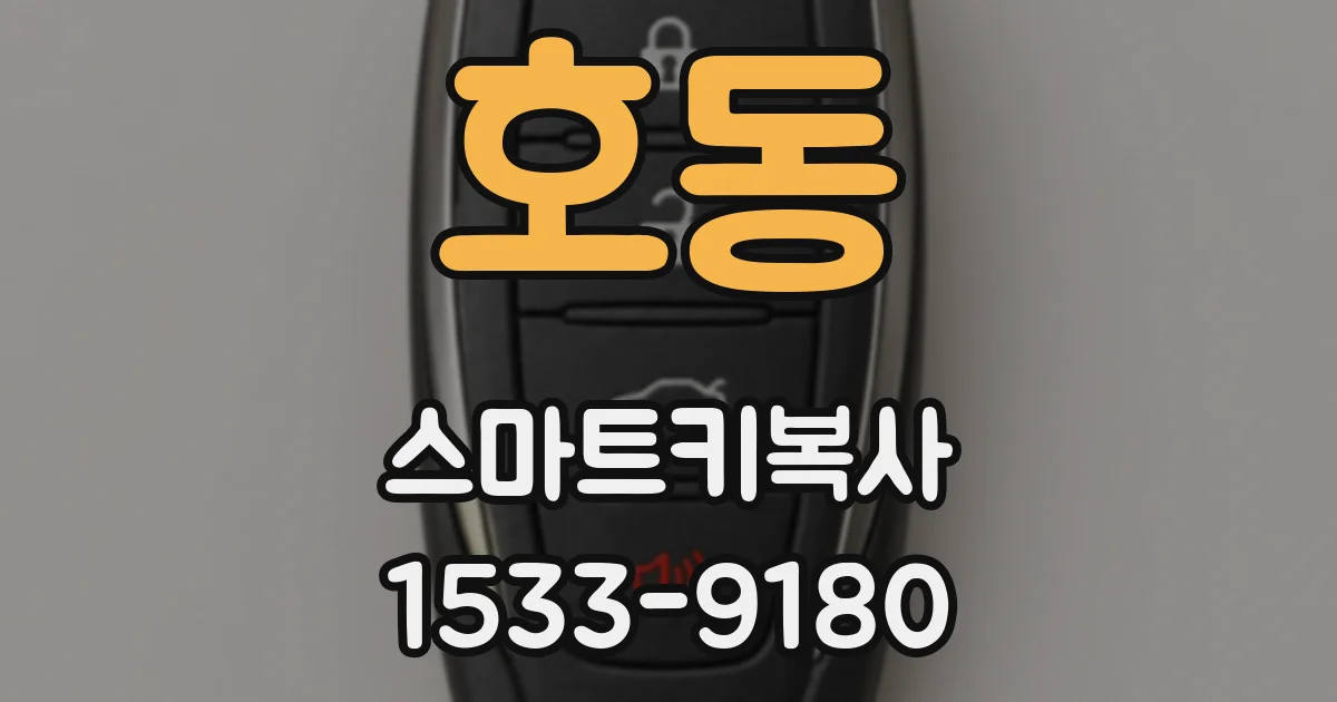 호동 스마트키복사
