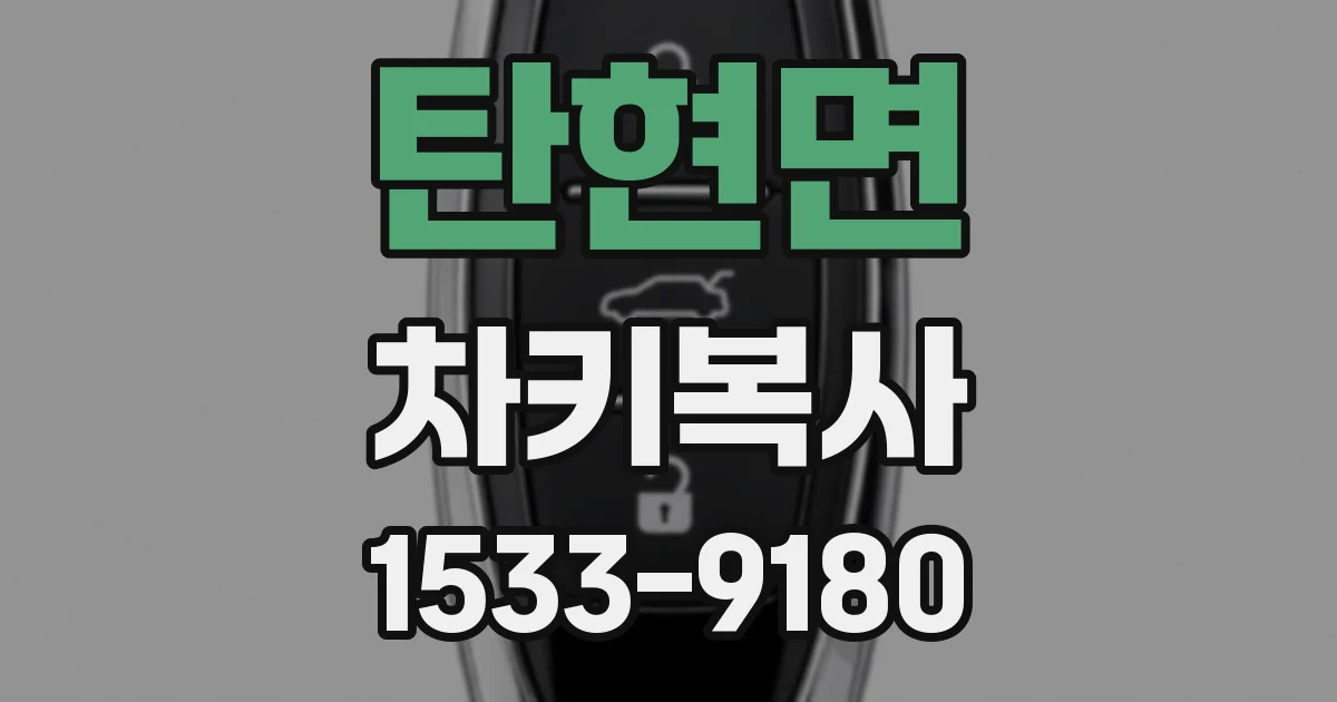 탄현면 차키복사