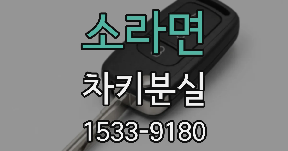 소라면 차키분실