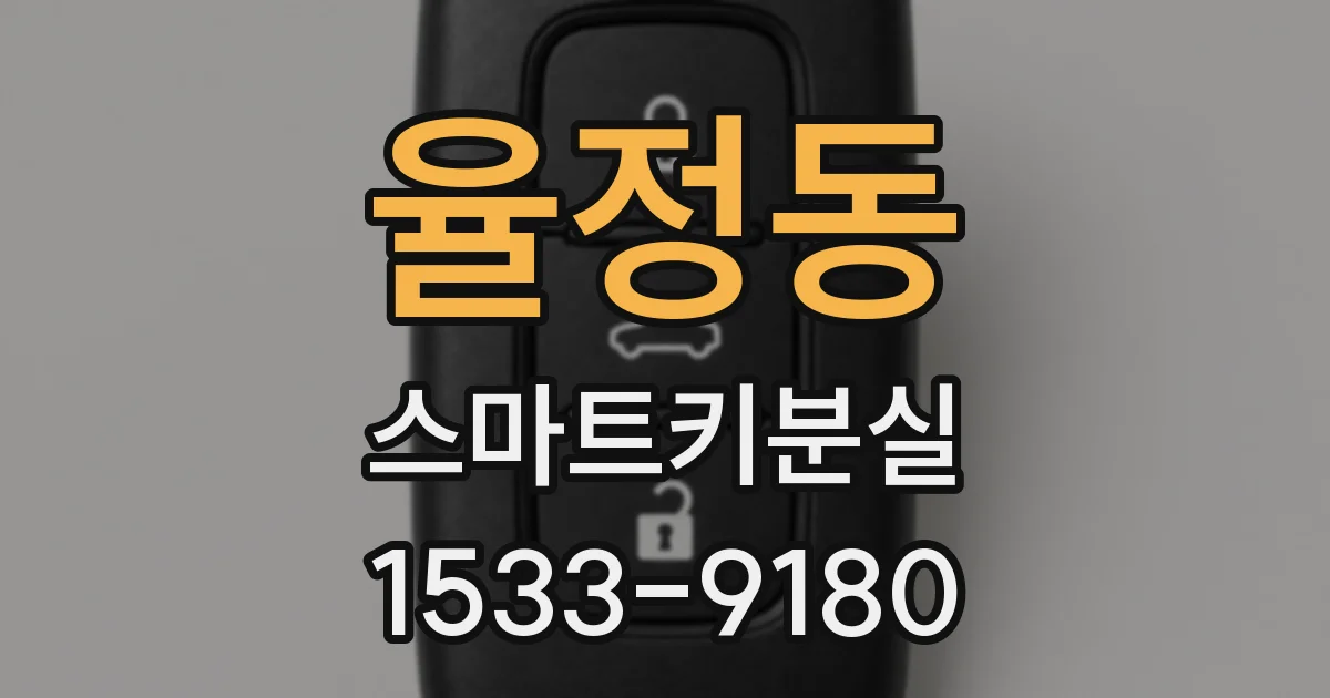 율정동 스마트키분실