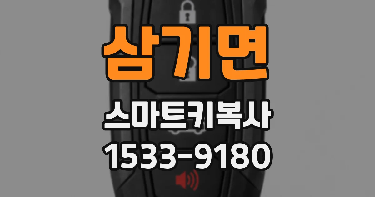 삼기면 스마트키복사
