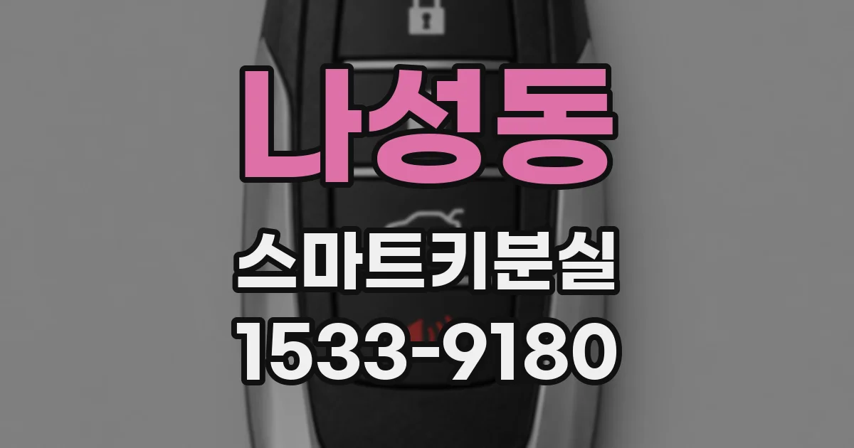 나성동 스마트키분실
