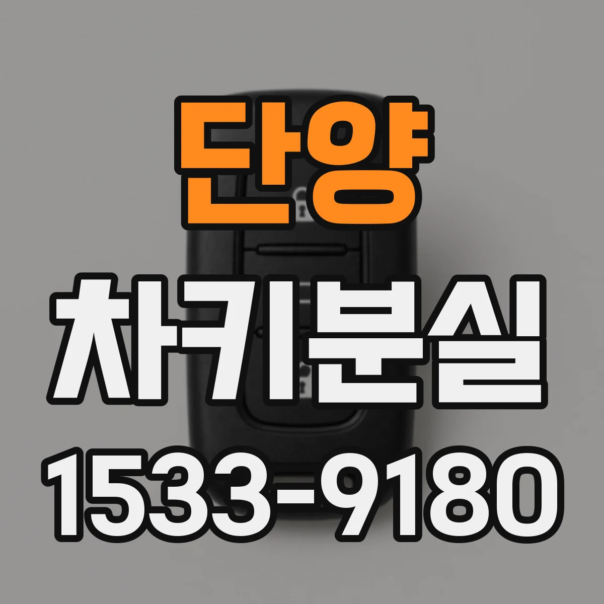 단양 차키분실