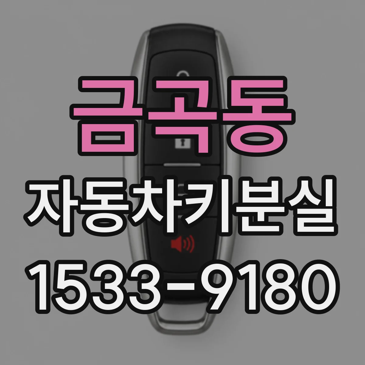 금곡동 자동차키분실