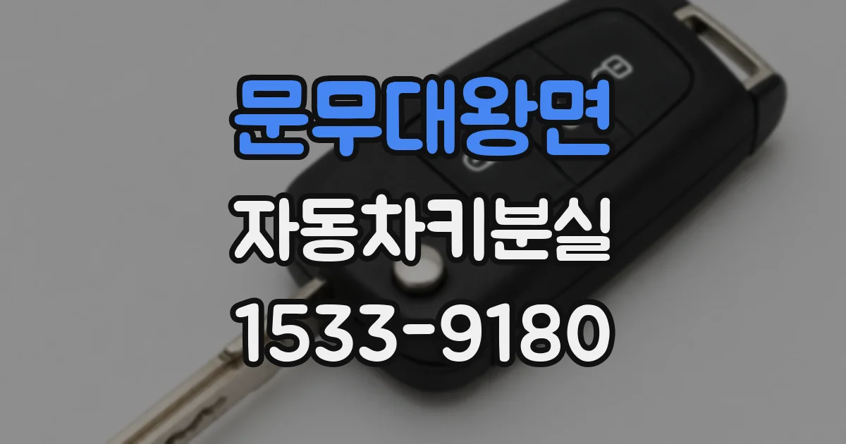 문무대왕면 자동차키분실