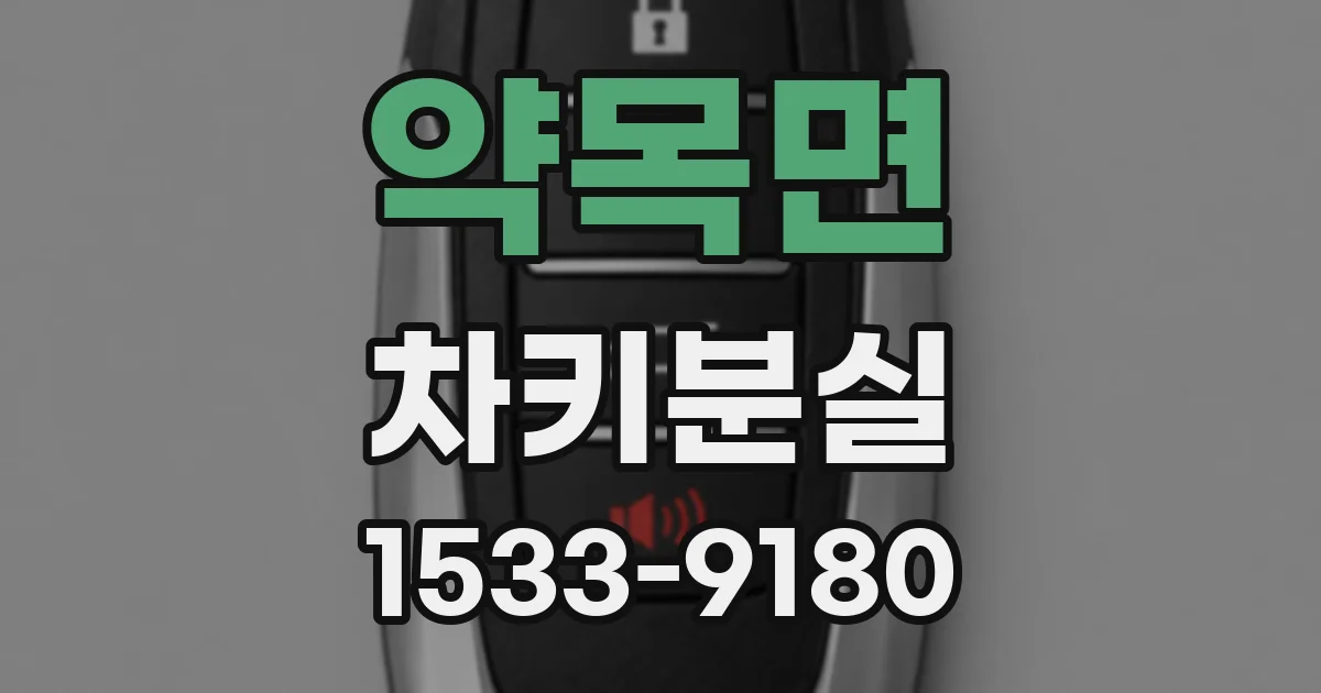 약목면 차키분실