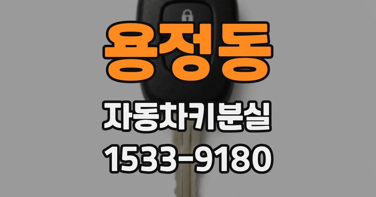 용정동 자동차키분실