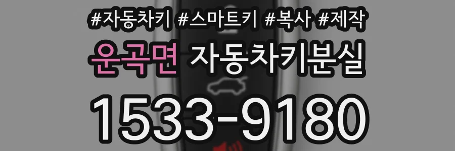 운곡면 자동차키분실