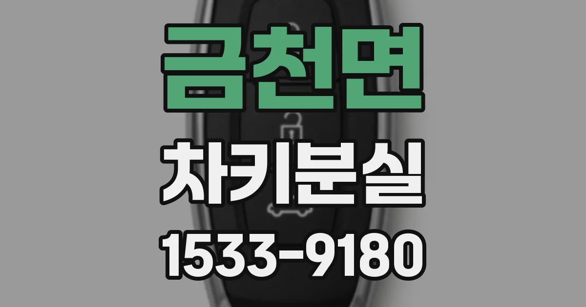 금천면 차키분실