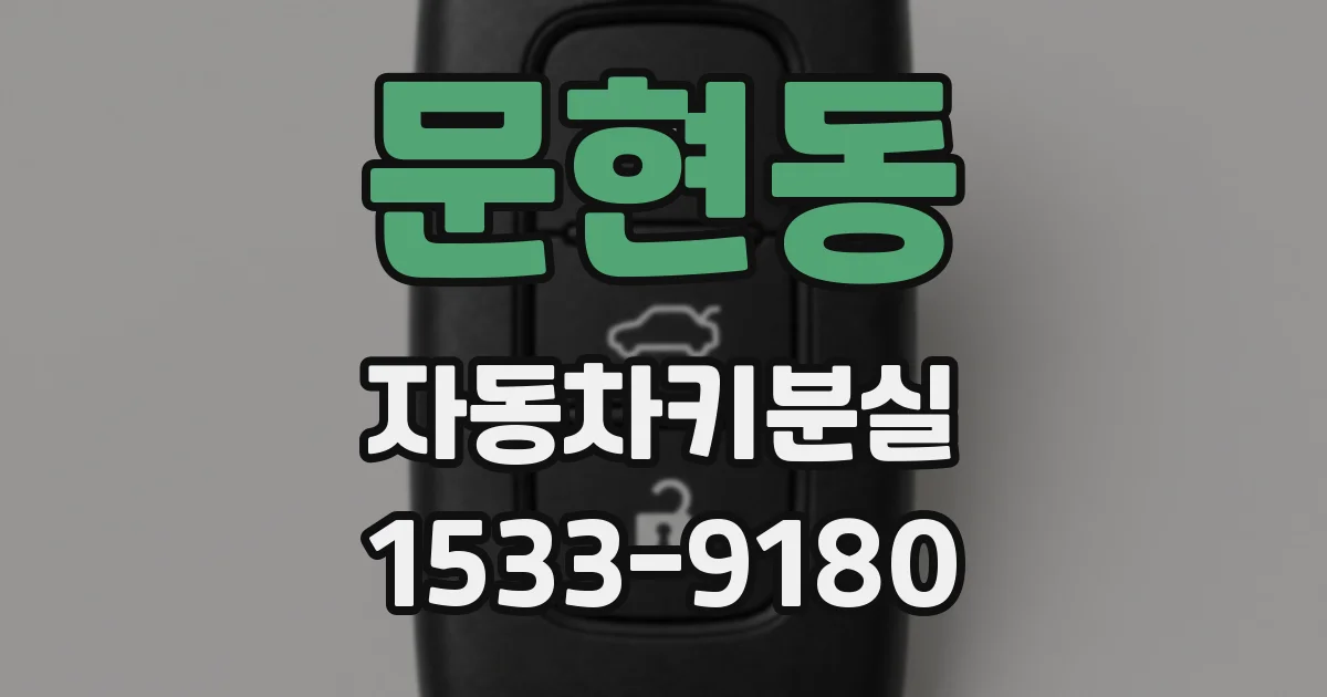 문현동 자동차키분실