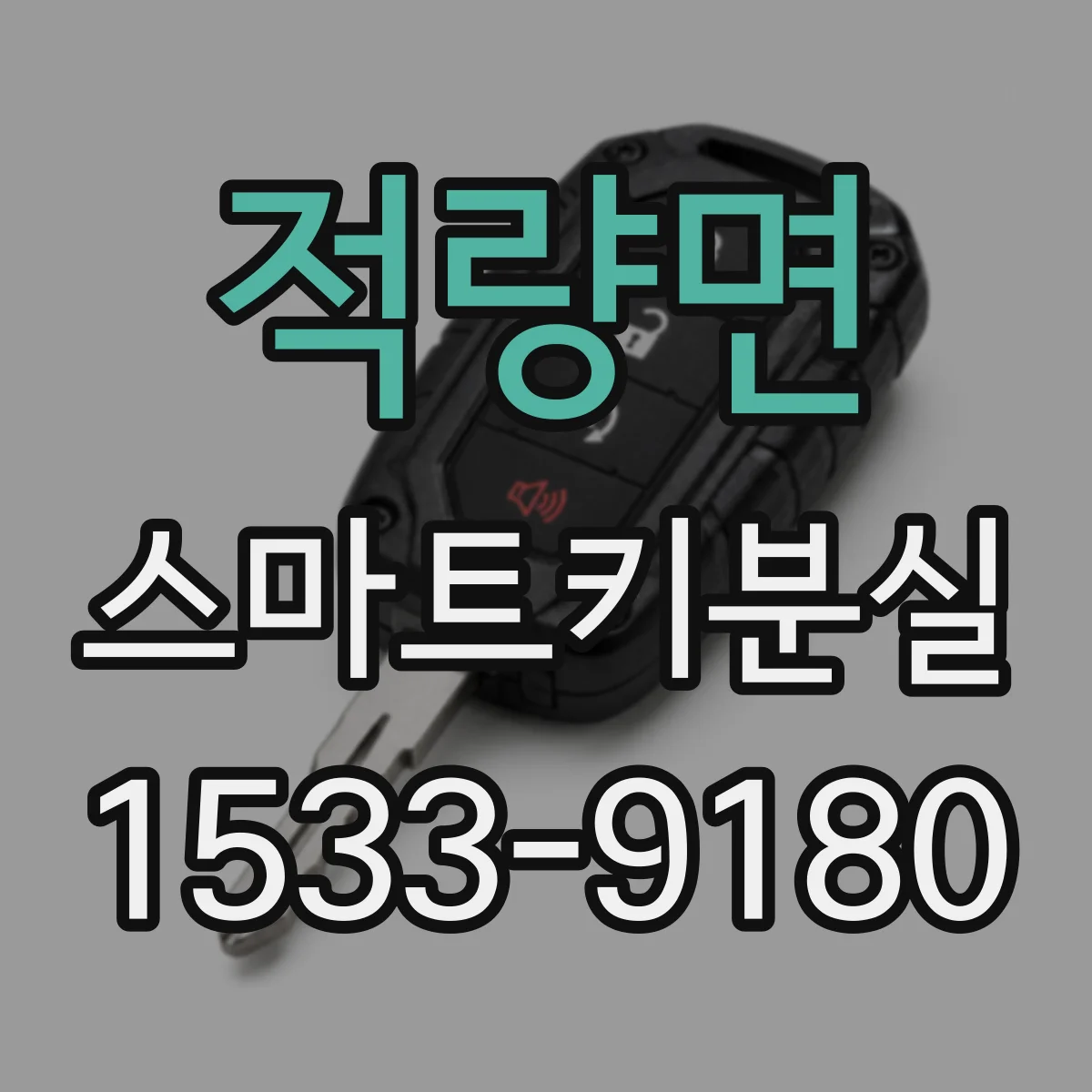 적량면 스마트키분실