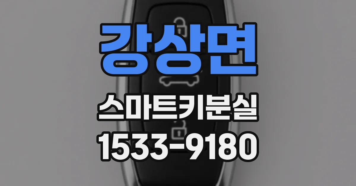 강상면 스마트키분실