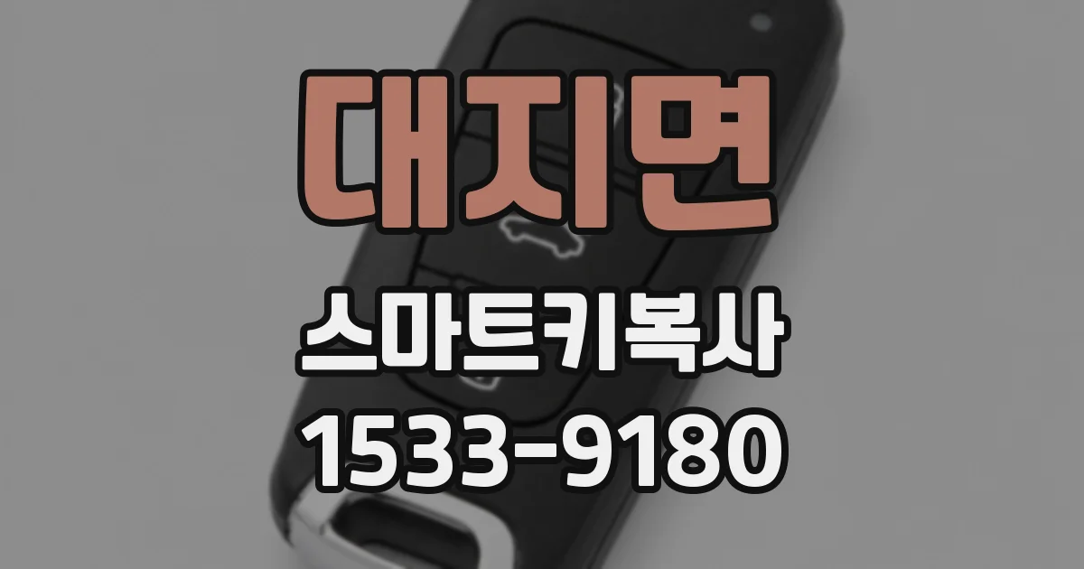 대지면 스마트키복사