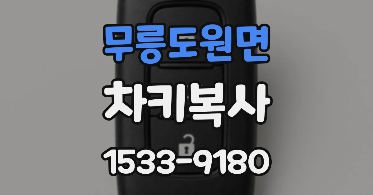 무릉도원면 차키복사
