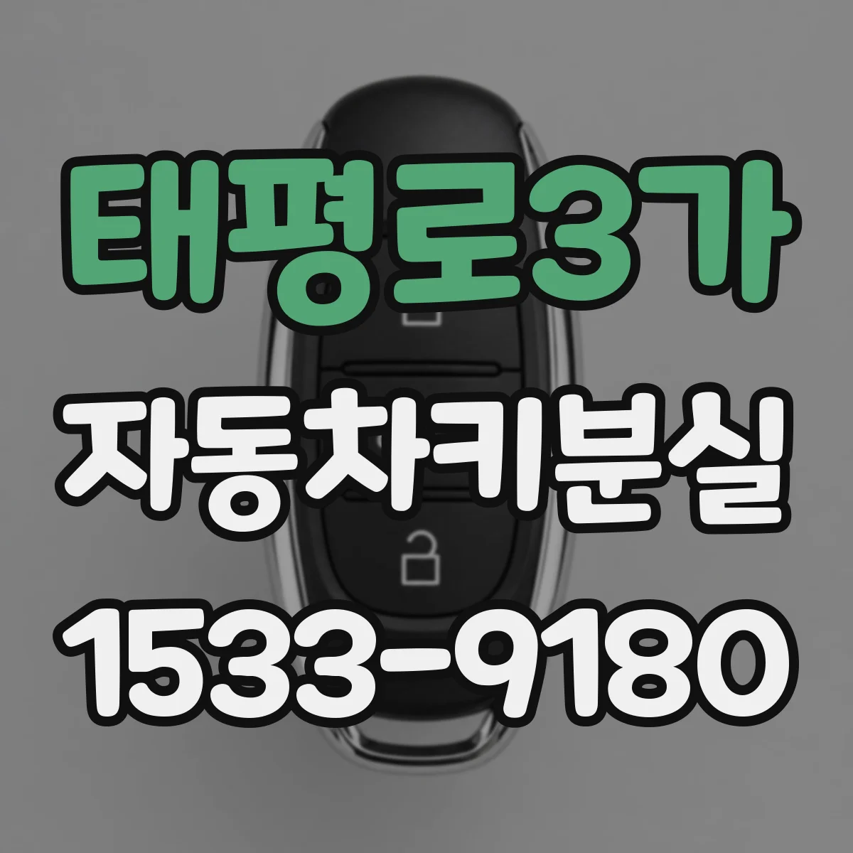 태평로3가 자동차키분실