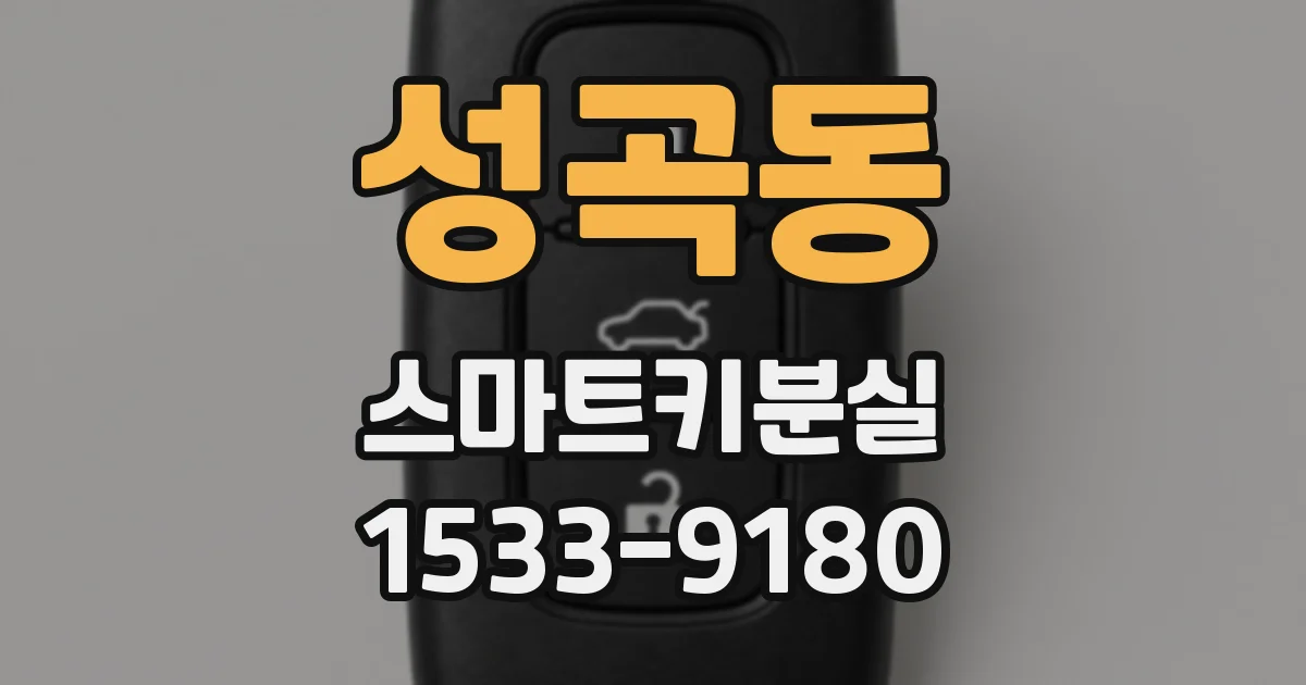 성곡동 스마트키분실