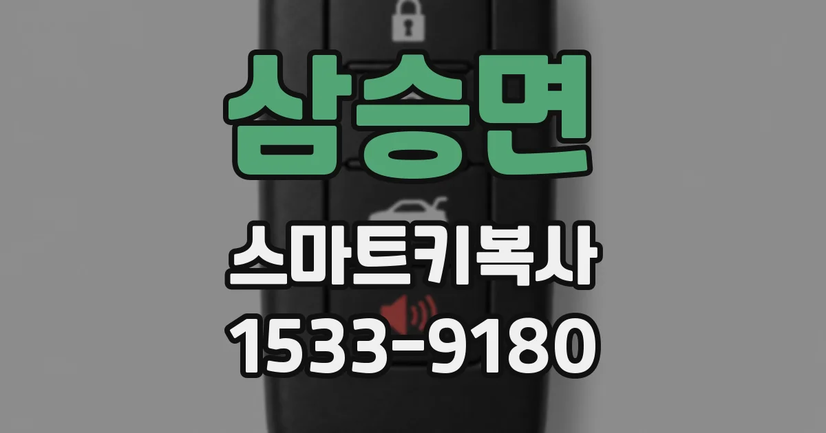 삼승면 스마트키복사