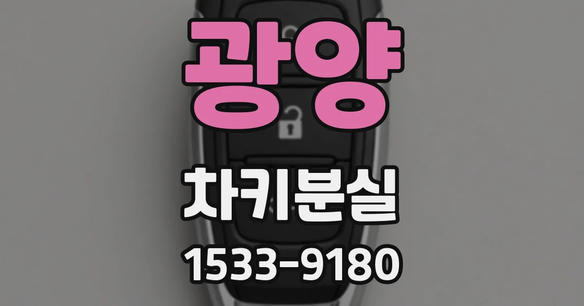광양 차키분실