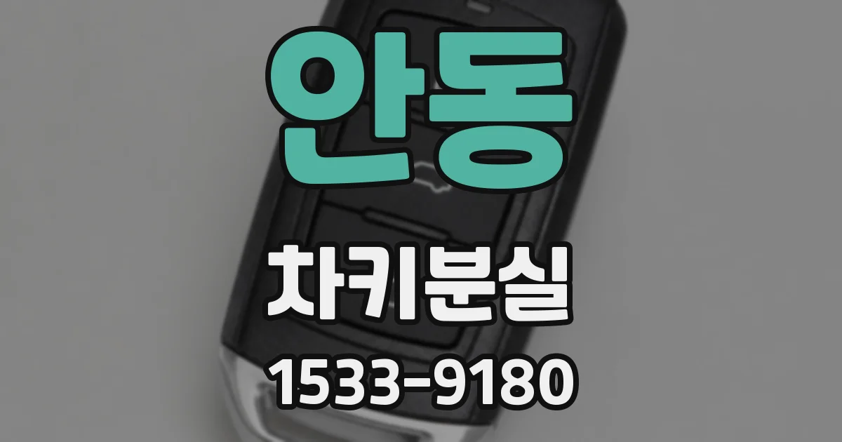 안동 차키분실