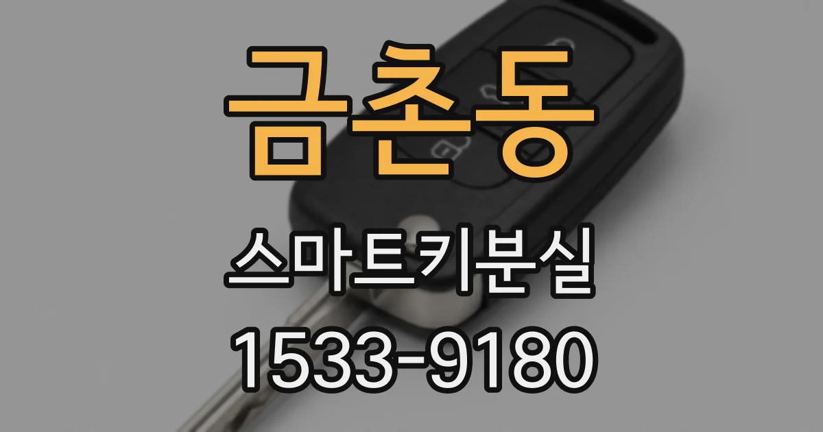 금촌동 스마트키분실