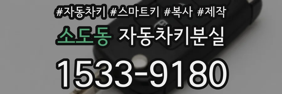 소도동 자동차키분실
