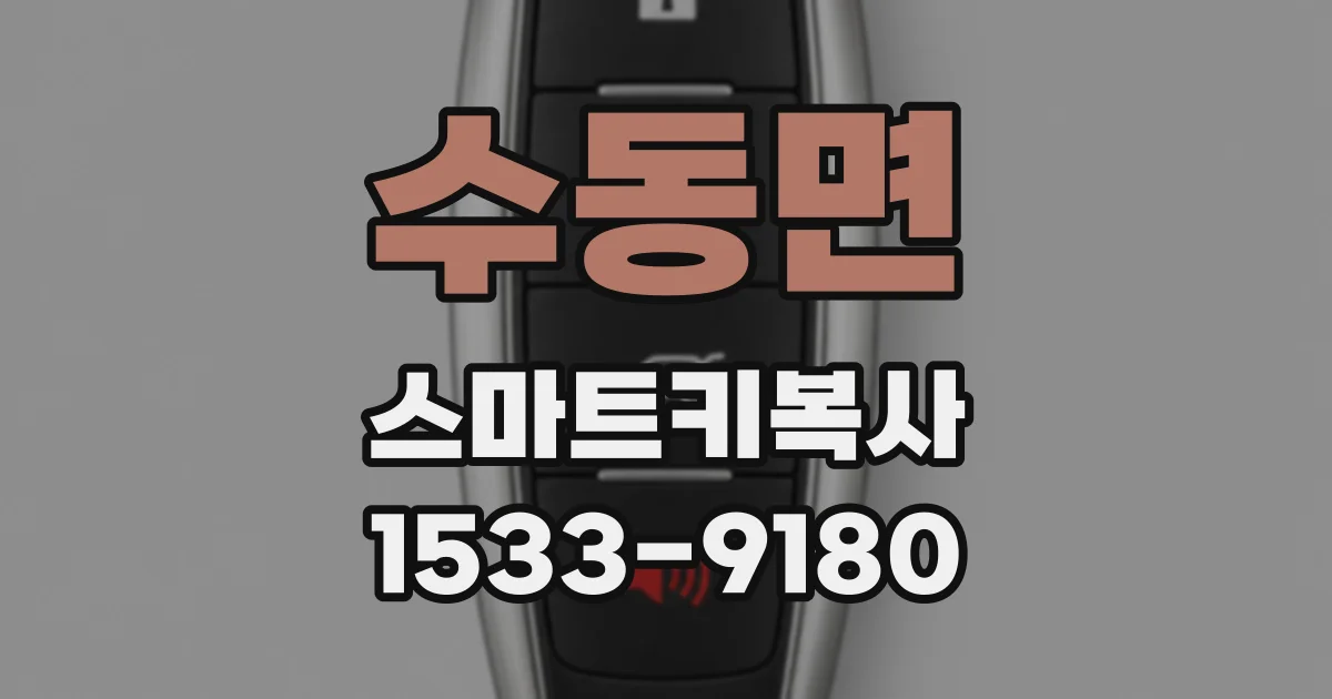 수동면 스마트키복사