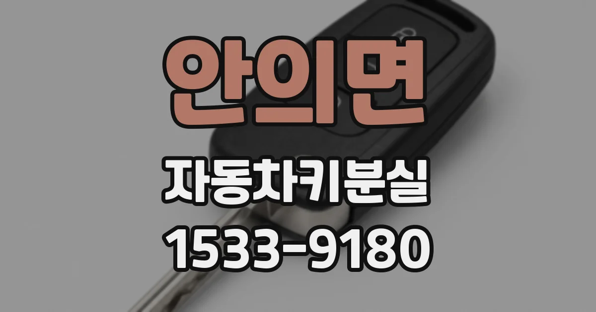 안의면 자동차키분실