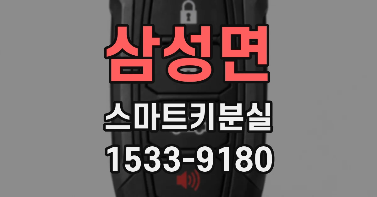 삼성면 스마트키분실
