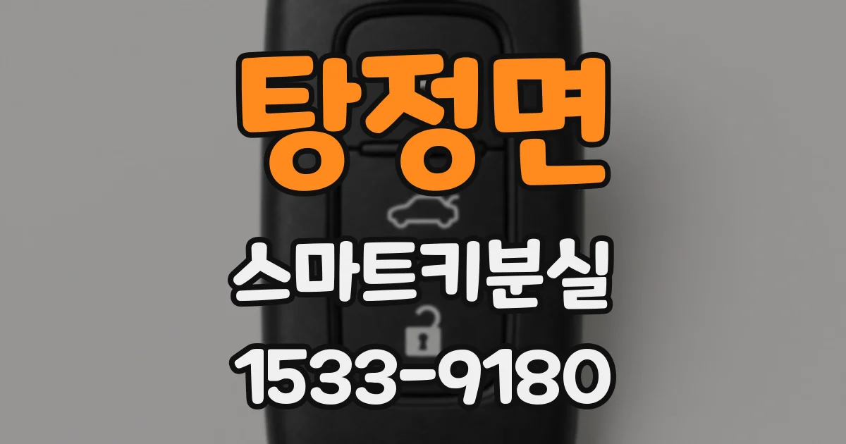 탕정면 스마트키분실