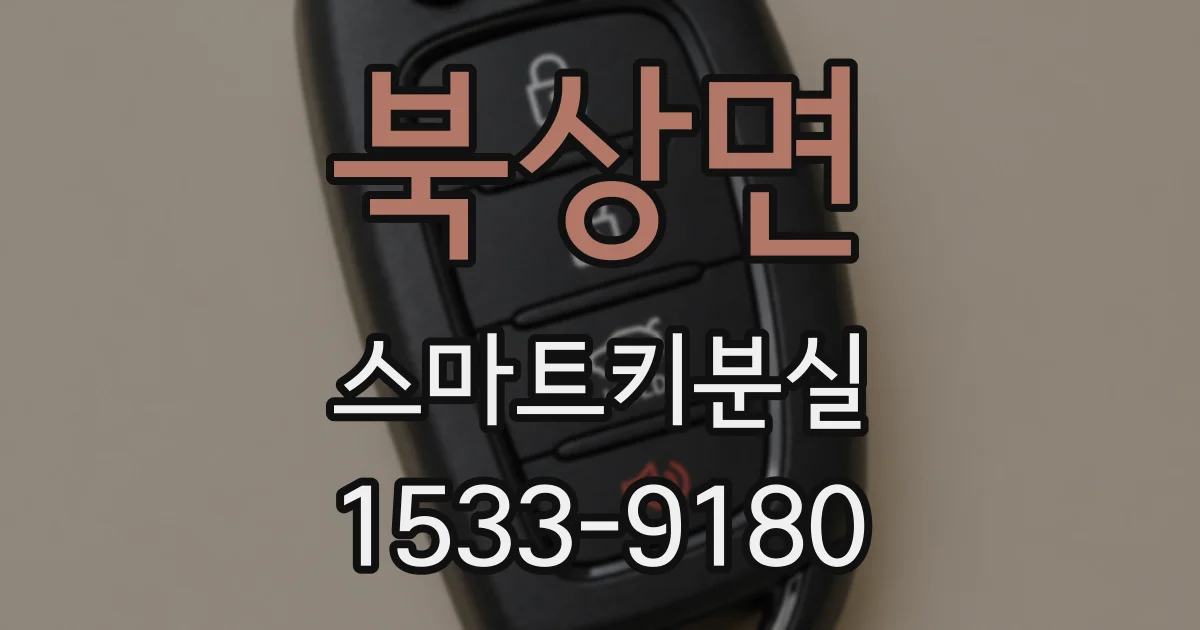북상면 스마트키분실