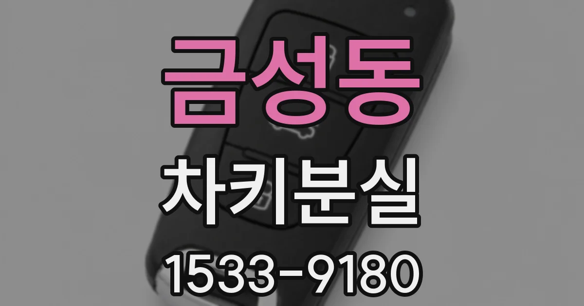 금성동 차키분실