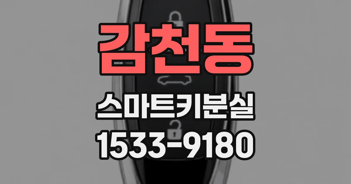 감천동 스마트키분실