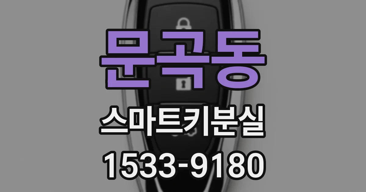 문곡동 스마트키분실