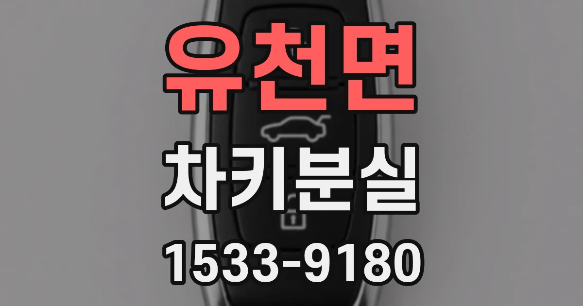 유천면 차키분실