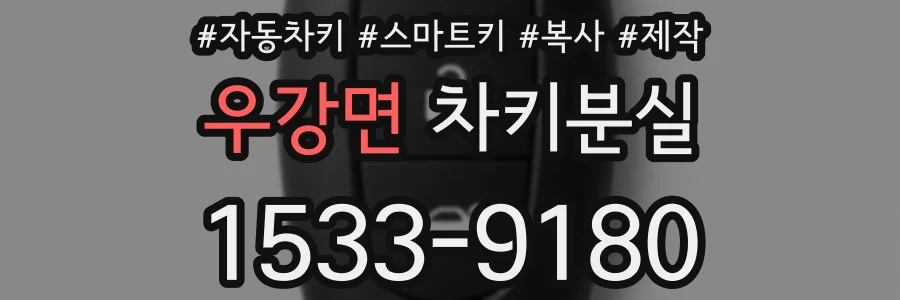 우강면 차키분실