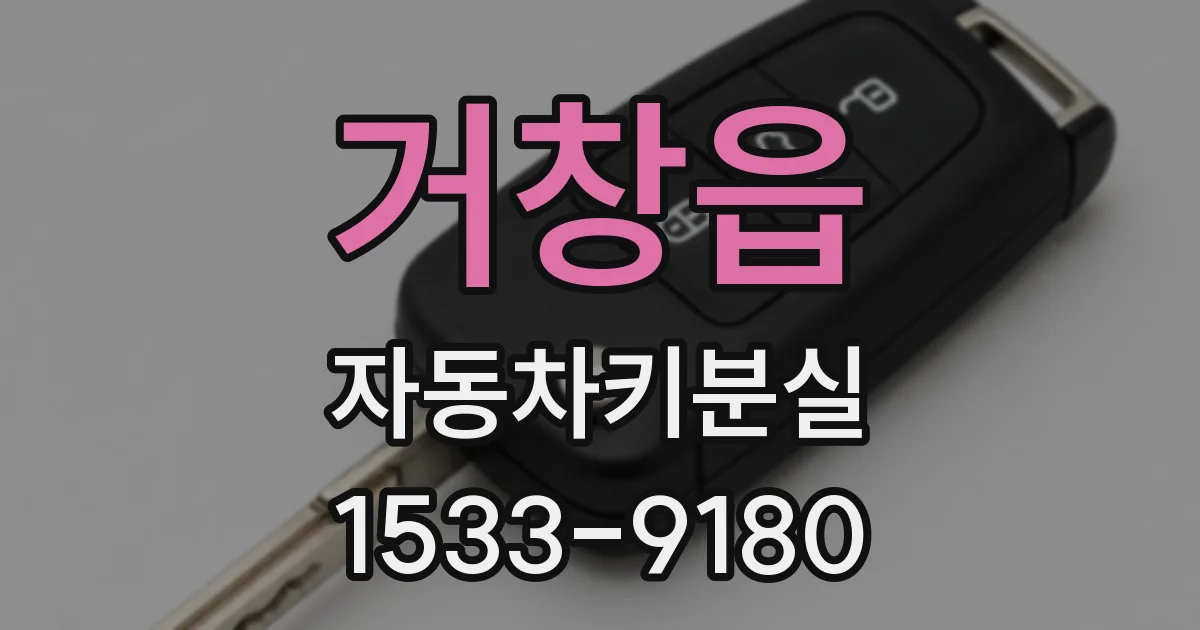 거창읍 자동차키분실