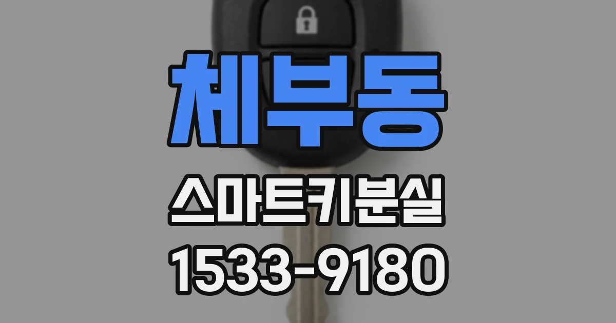 체부동 스마트키분실