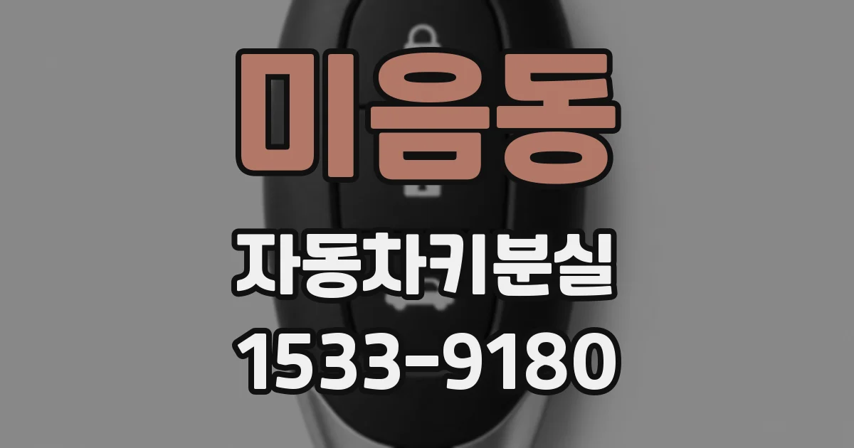 미음동 자동차키분실