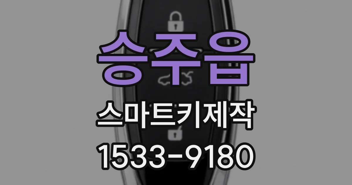 승주읍 스마트키제작