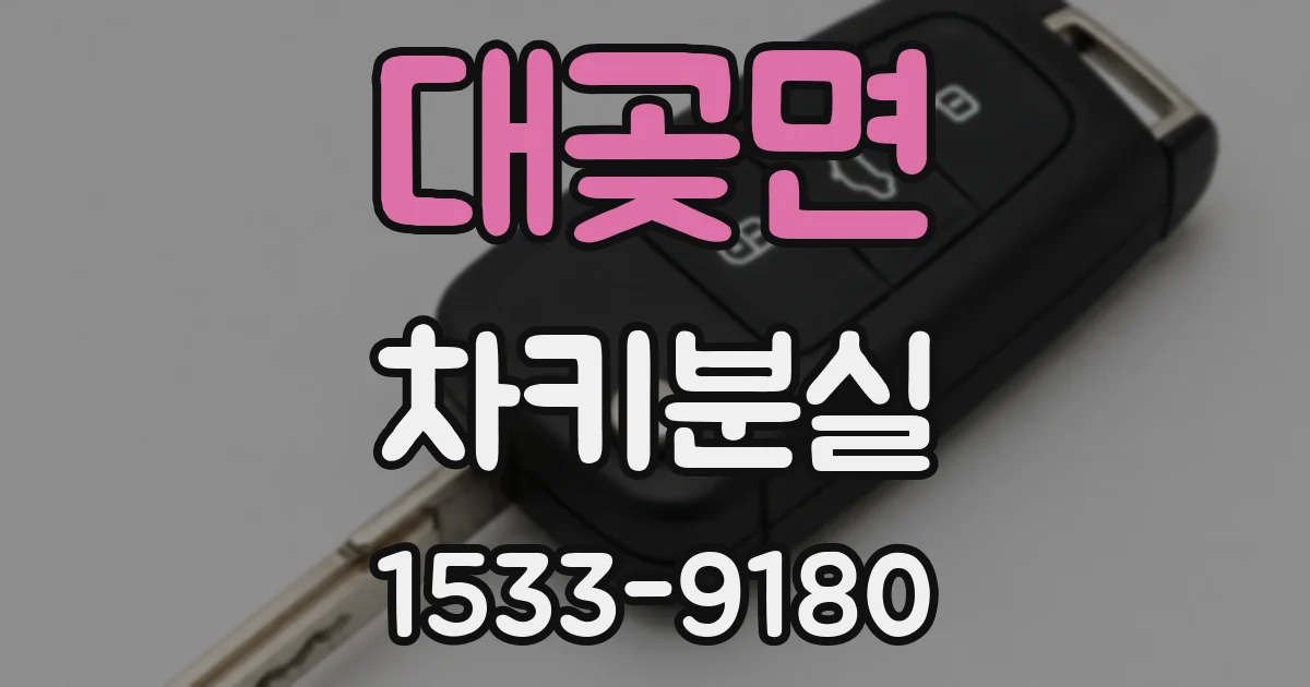 대곶면 차키분실