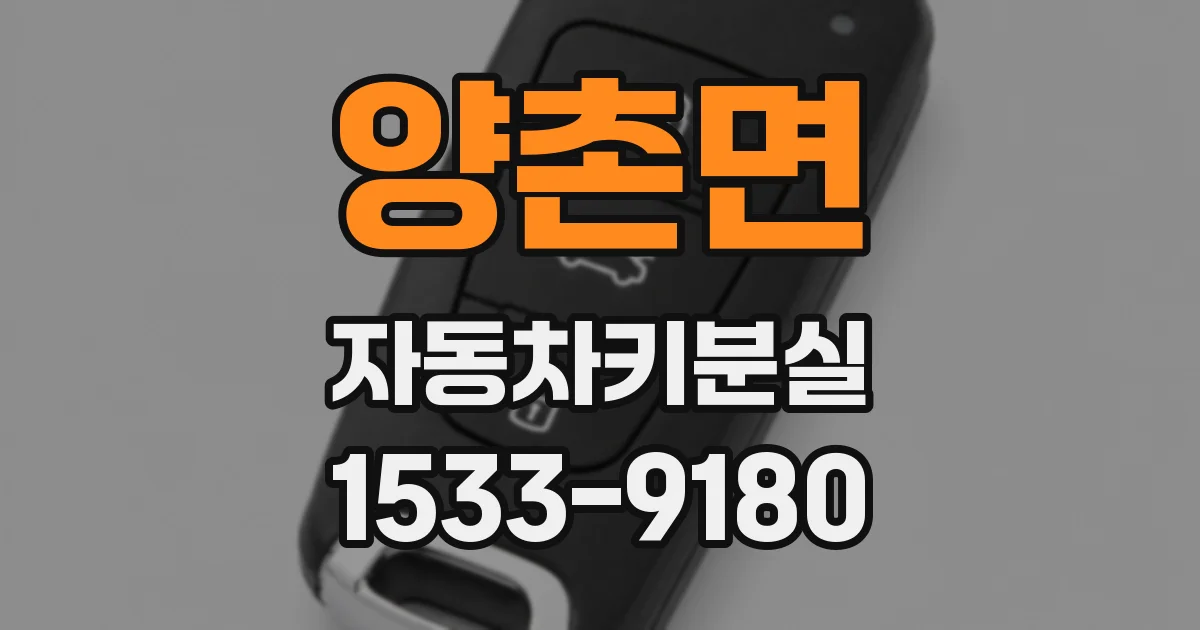 양촌면 자동차키분실