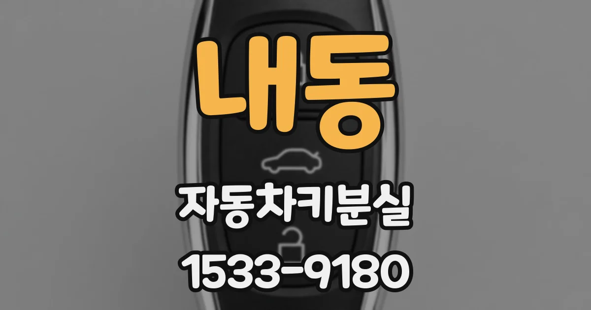 내동 자동차키분실