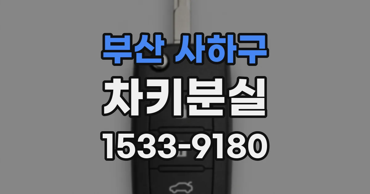 부산 사하구 차키분실