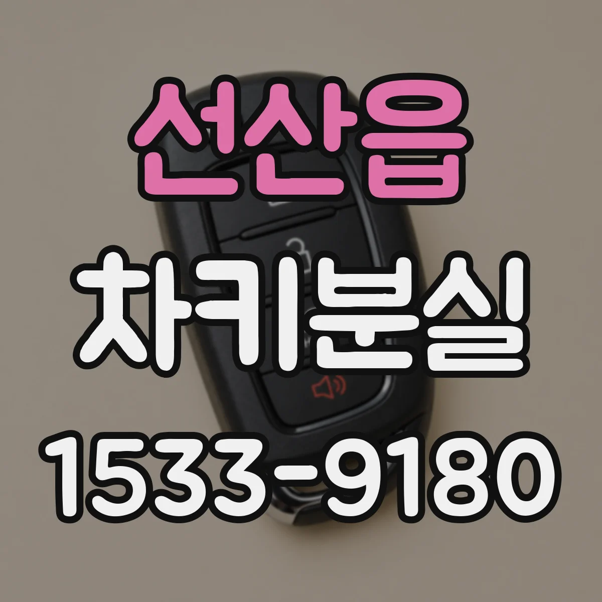 선산읍 차키분실