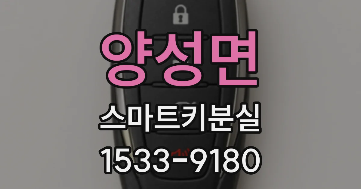 양성면 스마트키분실