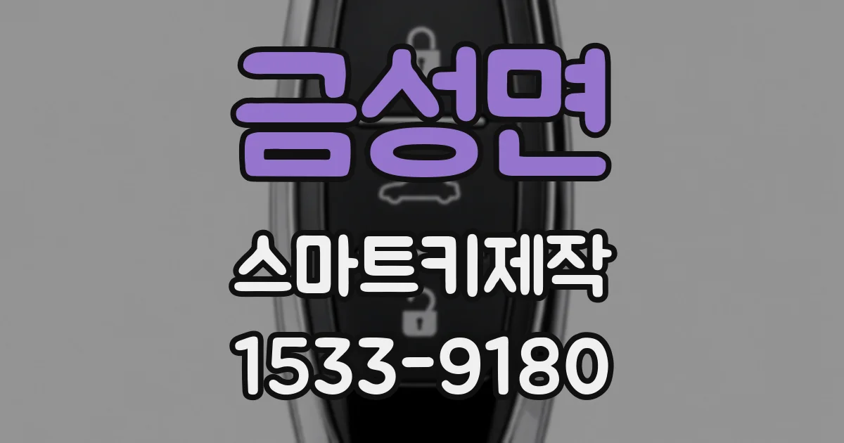 금성면 스마트키제작