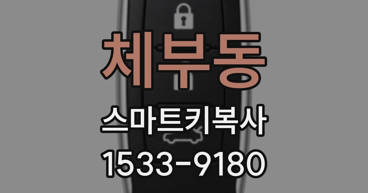 체부동 스마트키복사