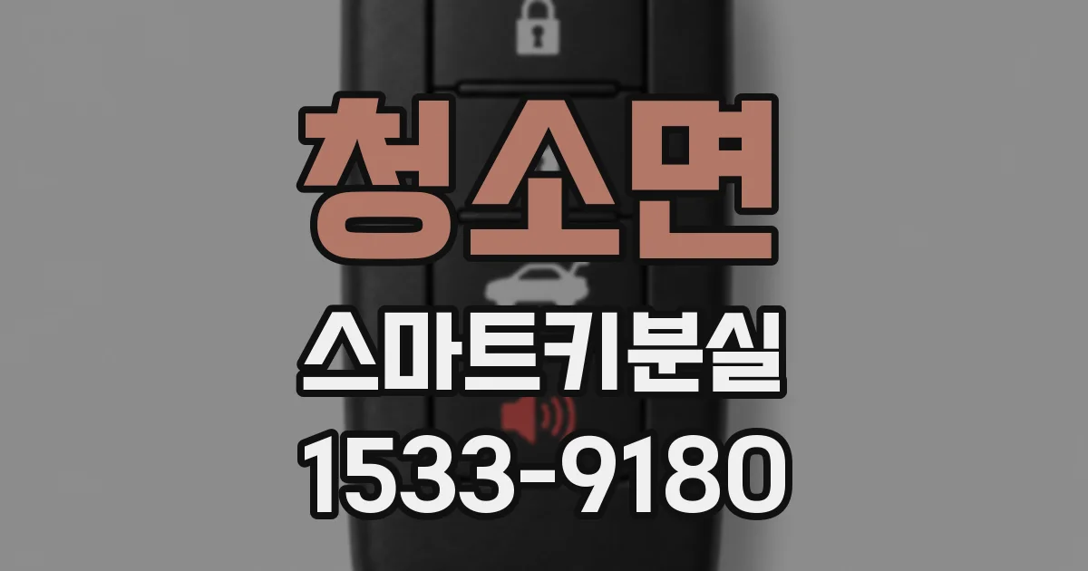 청소면 스마트키분실