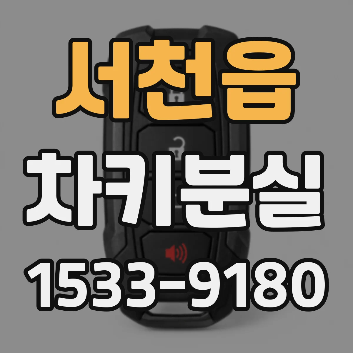 서천읍 차키분실