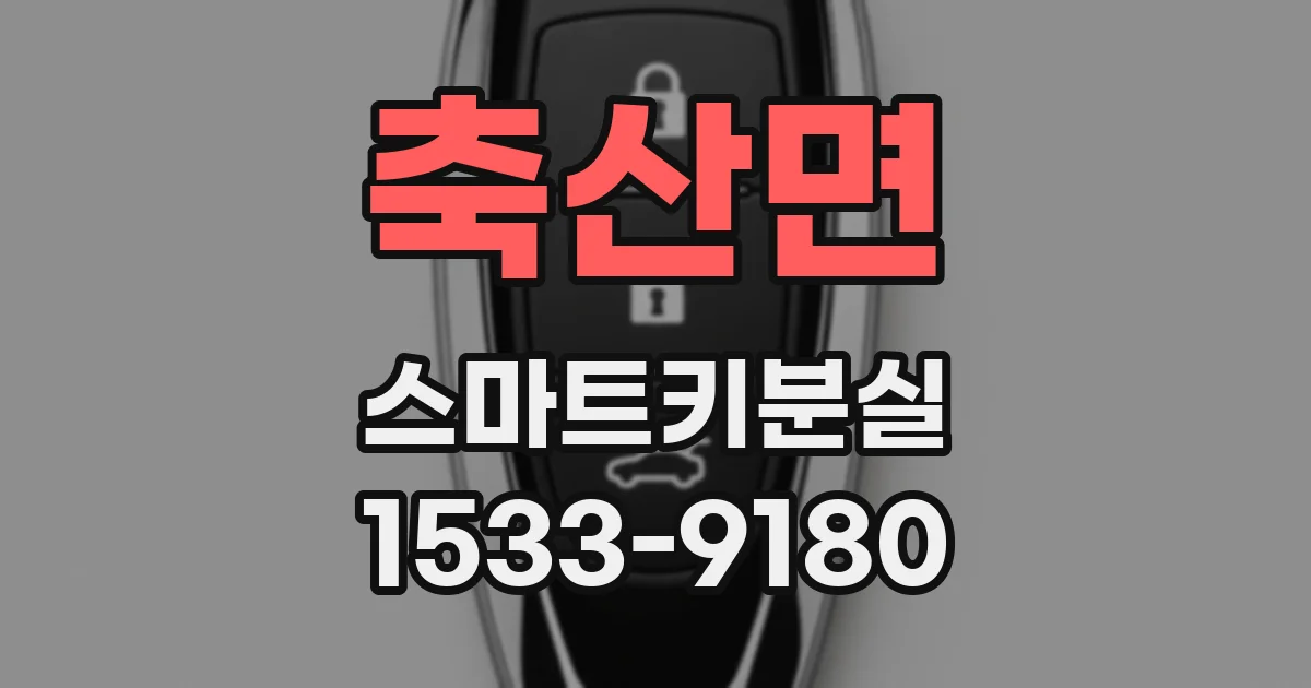 축산면 스마트키분실